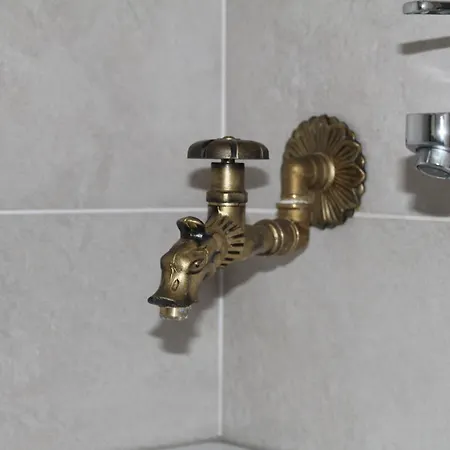 Gasthof Byalata Kashta Mineralni Bani